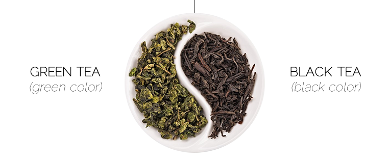green tea vs black tea