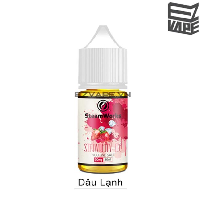 Steamworks Strawberry Ice Salt Nic 30ml